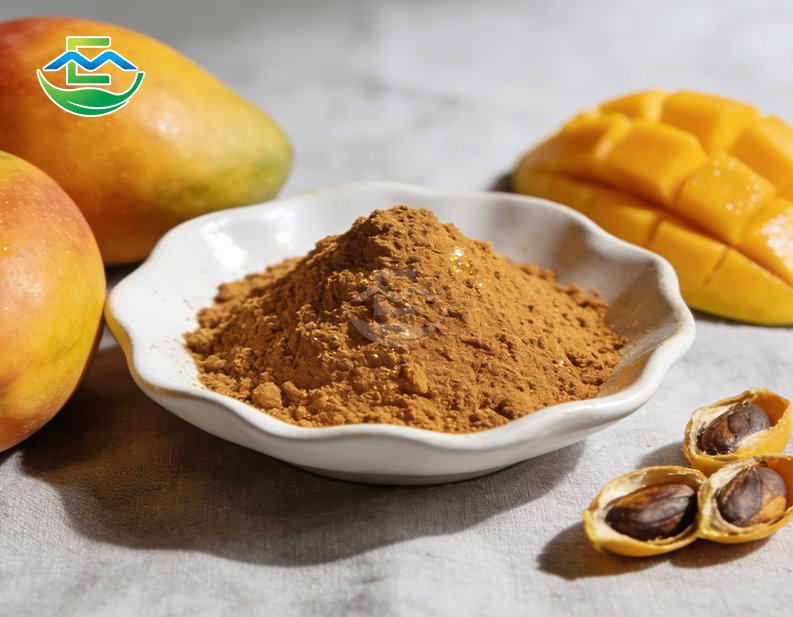 Mango Seed Extract